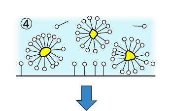 画像:汚れと界面活性剤