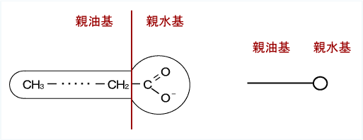 画像:親油基と親水基