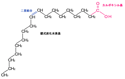 画像:オレイン酸