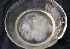 画像:液体石けんの元に水を