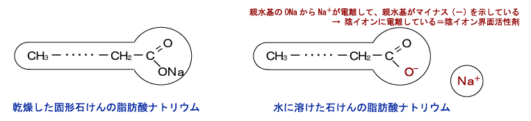 画像:電離した石けん(陰イオン界面活性剤)