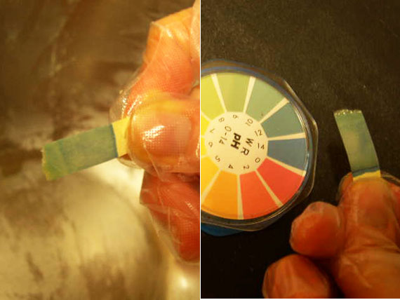 にじみ出た液体のpHを調べる。